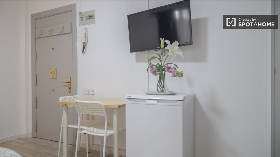 Apartment mono Madrid, 19m² — photo 11