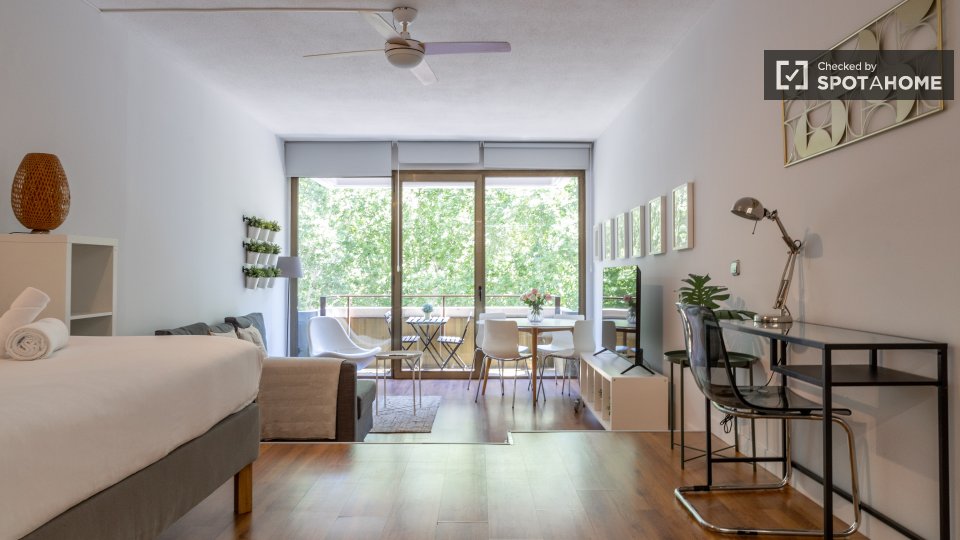Apartment Madrid, 1 bed — photo 24