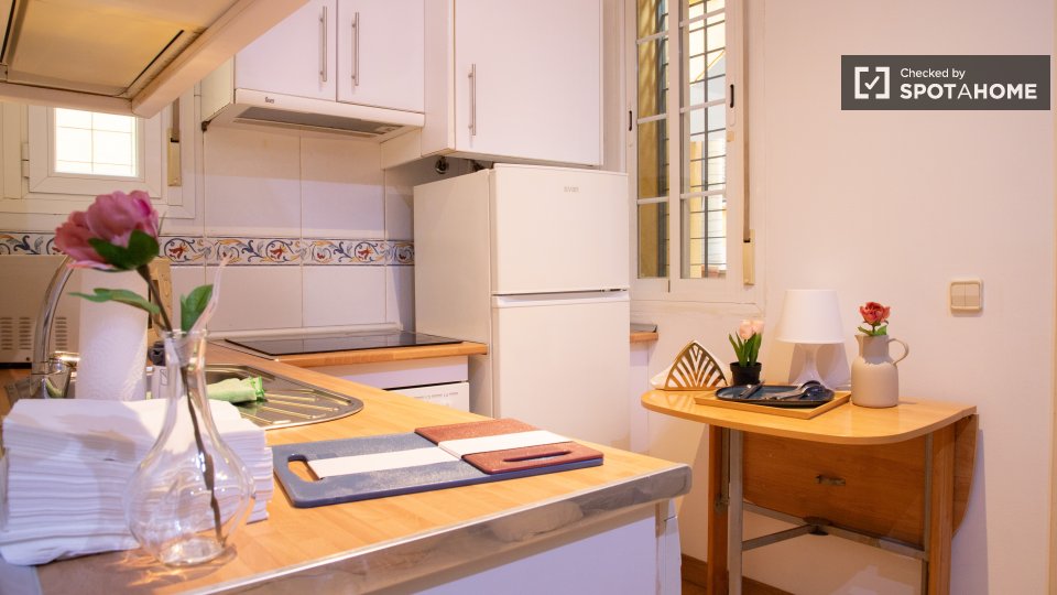 Apartment mono Madrid — photo 14