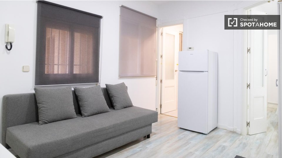 Apartment mono Madrid — photo 31