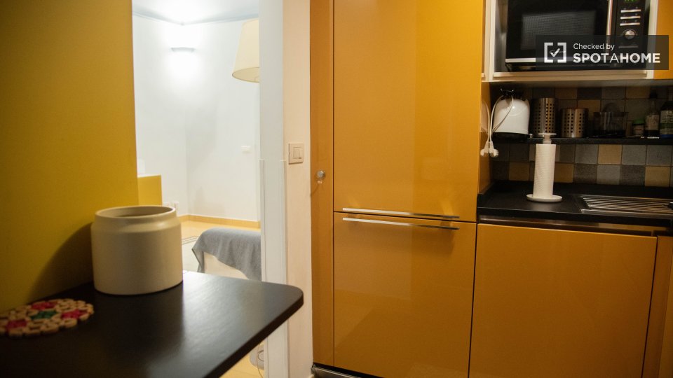 Apartment Rome, 1 bed — photo 29