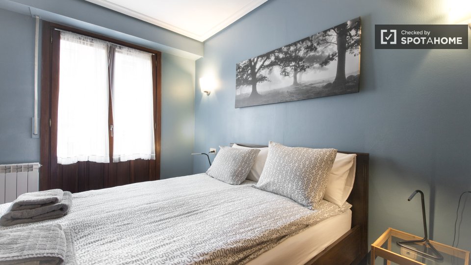 Apartment San_Sebastian, 2 beds, 45m² — photo 8