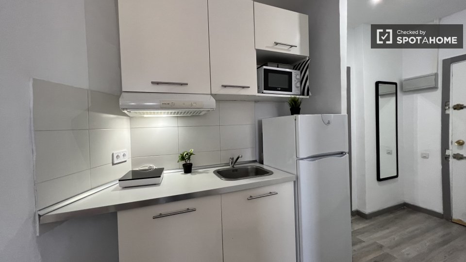 Apartment mono Madrid — photo 4