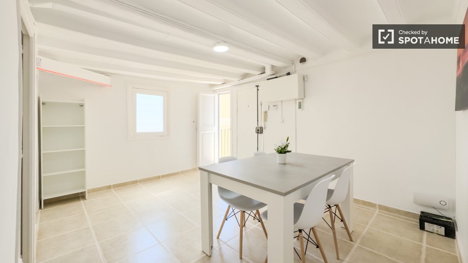 Double room Barcelona, 2 beds, 50m² — photo 16