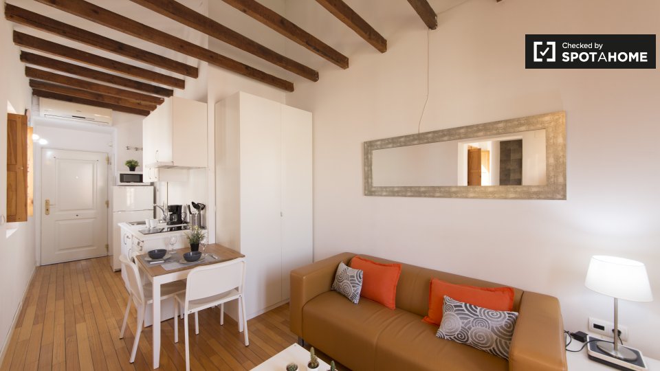 Apartment mono Madrid — photo 1