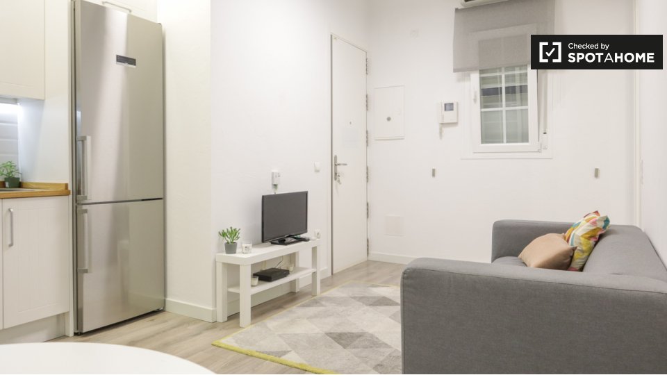 Apartment Madrid, 1 bed, 34m² — photo 5