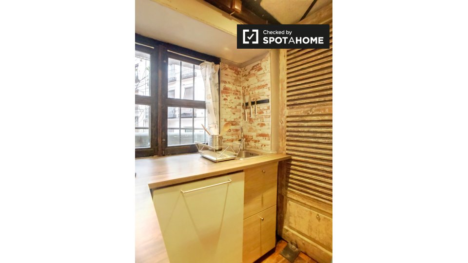 Apartment mono Madrid, 15m² — photo 6