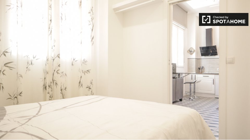 Apartment Madrid, 1 bed — photo 8