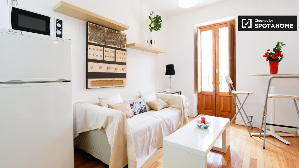 Apartment mono Madrid — photo 7
