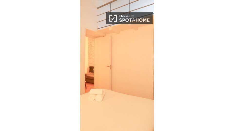 Apartment mono Madrid — photo 13