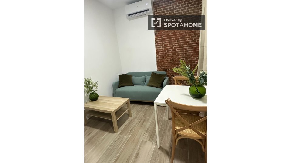Apartment Madrid, 1 bed — photo 11