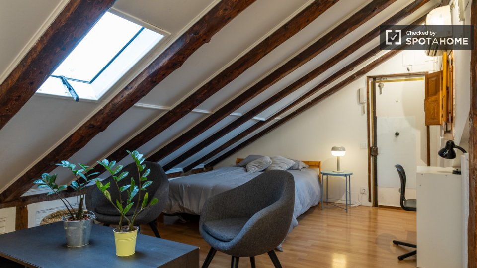 Apartment mono Madrid — photo 12