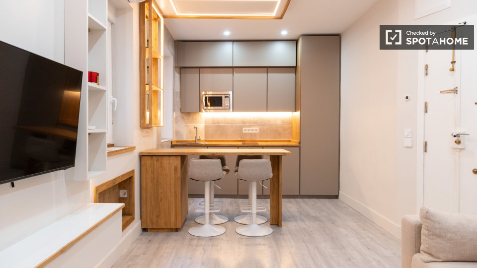 Apartment Madrid, 1 bed — photo 16