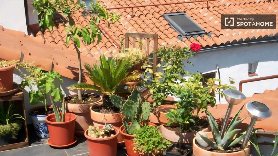 Apartment Madrid, 2 beds, 75m² — photo 20