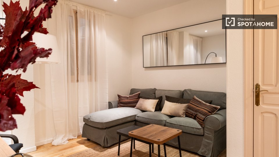 Apartment Madrid, 1 bed — photo 10