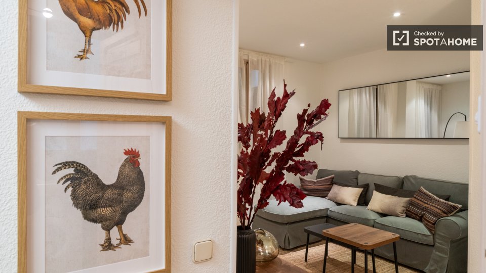 Apartment Madrid, 1 bed — photo 17