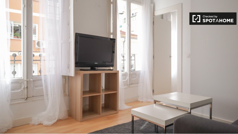 Apartment Madrid, 1 bed — photo 13
