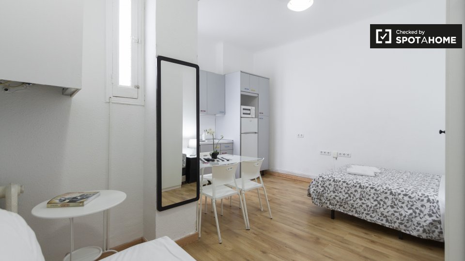 Apartment mono Madrid, 25m² — photo 3