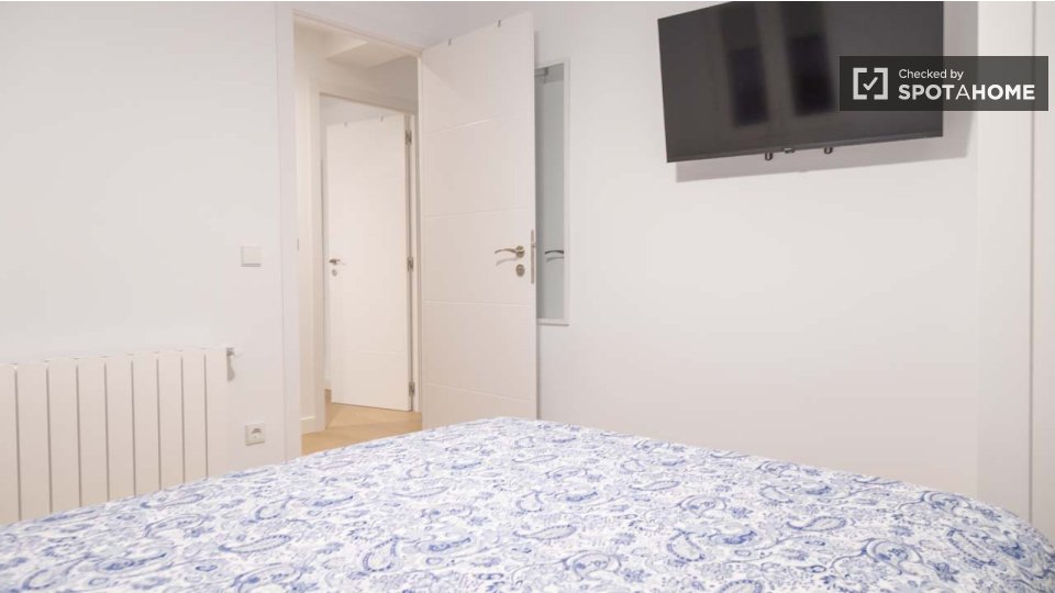 Double room Madrid, 3 beds, 50m² — photo 12