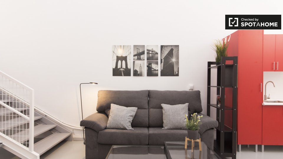 Apartment mono Madrid — photo 10