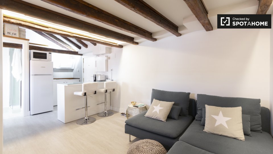 Apartment mono Madrid, 37m² — photo 7