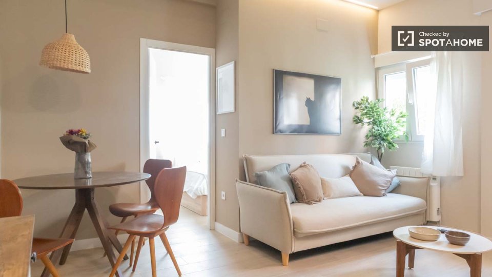 Apartment Madrid, 1 bed — photo 8