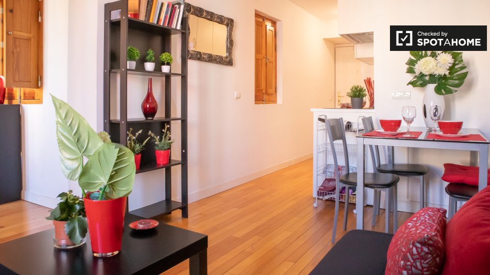 Apartment Madrid, 1 bed — photo 5