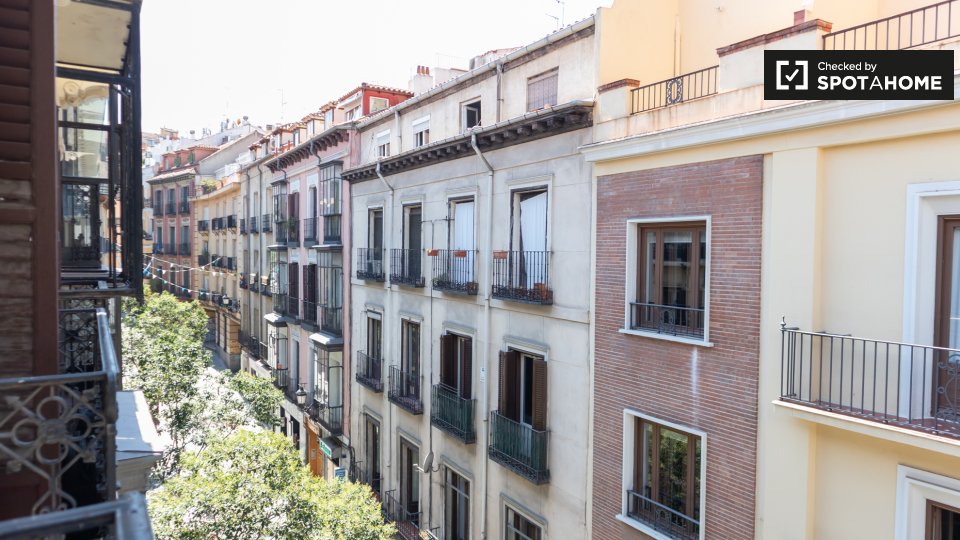 Double room Madrid, 10 beds, 220m² — photo 7