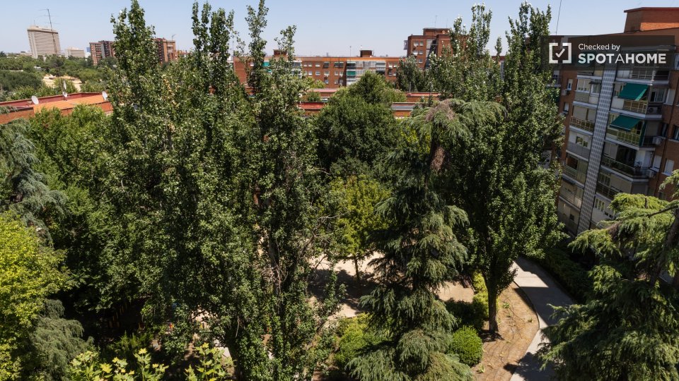 Double room Madrid, 5 beds — photo 12