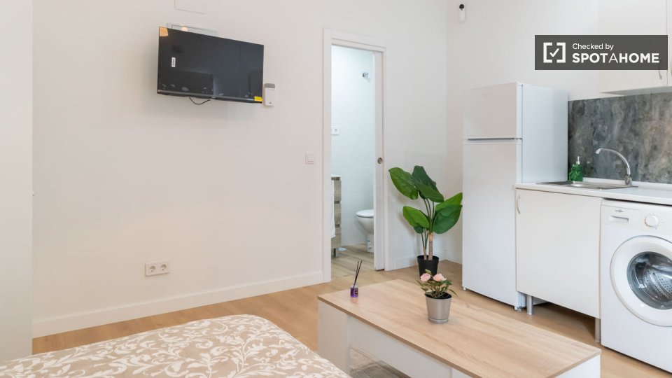 Apartment mono Madrid — photo 10