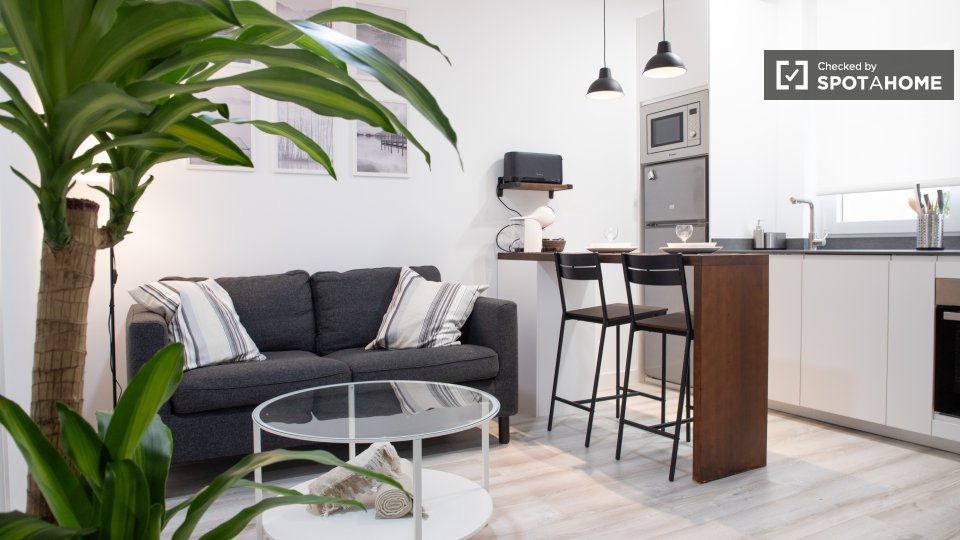 Apartment mono Madrid — photo 4
