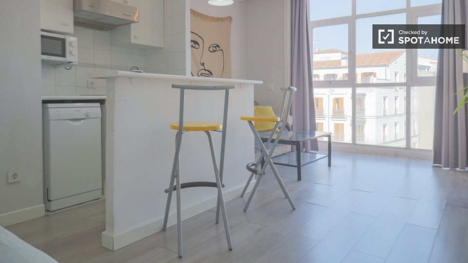 Apartment mono Madrid, 40m² — photo 12