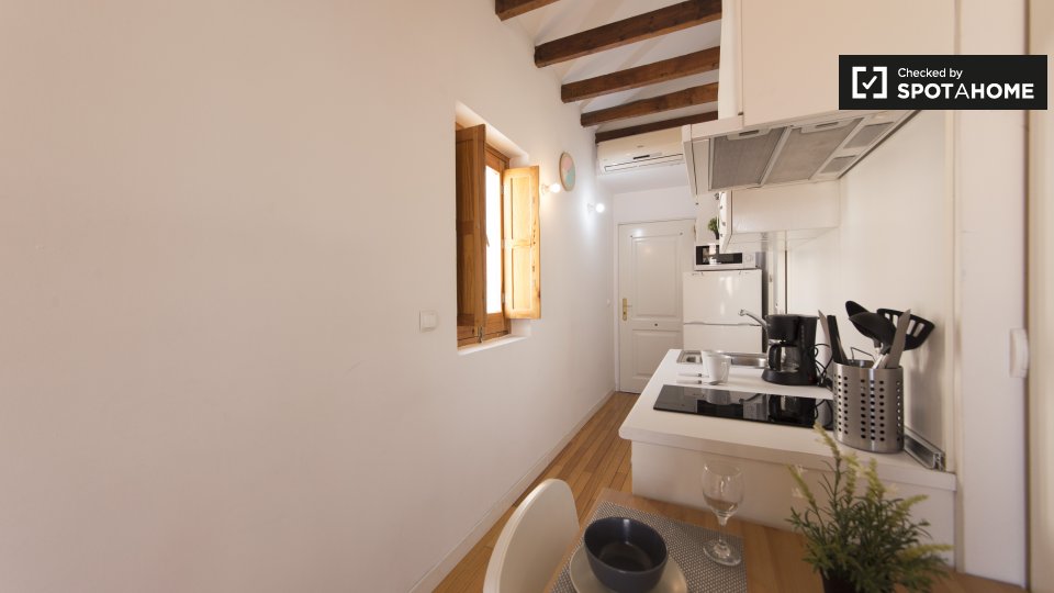 Apartment mono Madrid — photo 11