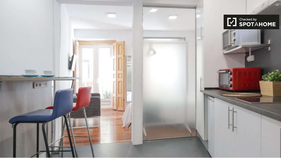 Apartment mono Madrid, 30m² — photo 3