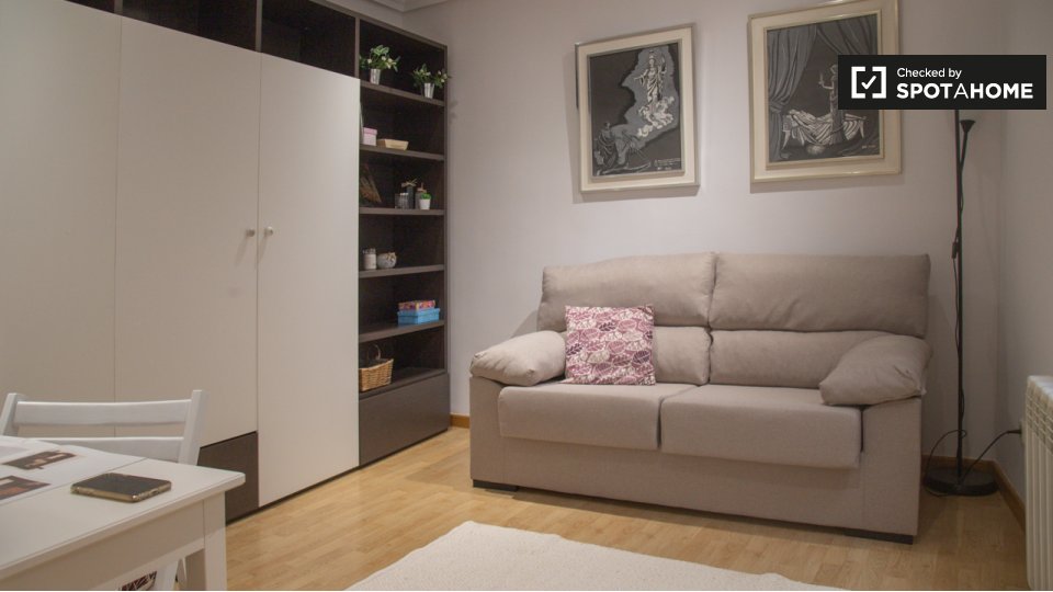 Apartment Madrid, 1 bed — photo 19