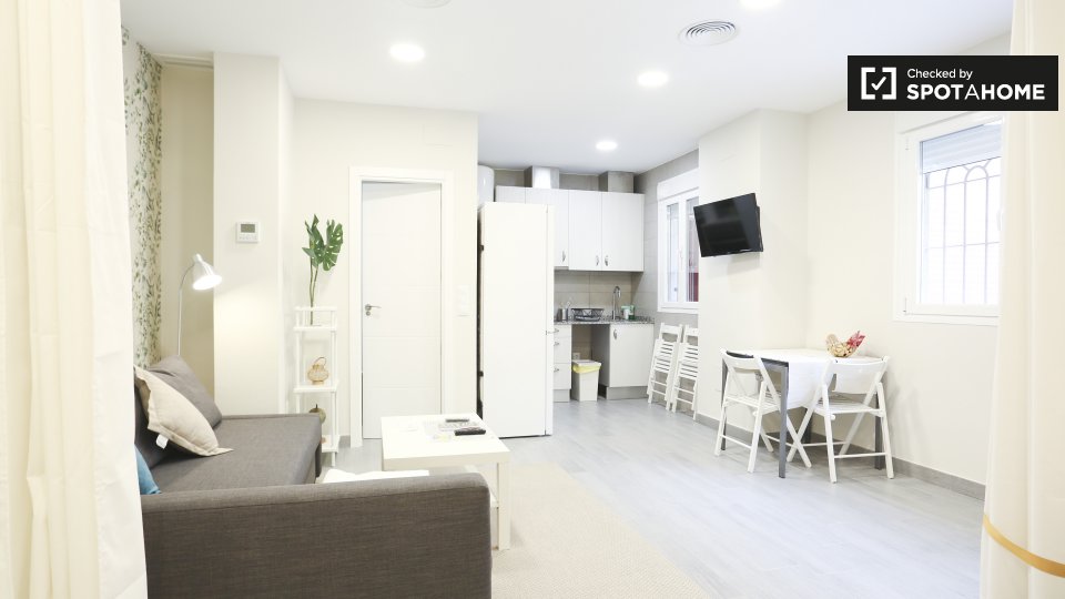 Apartment mono Madrid, 42m² — photo 5