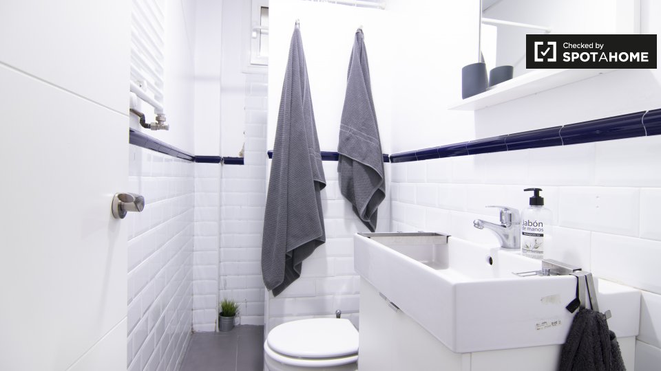 Double room Madrid, 2 beds, 45m² — photo 12