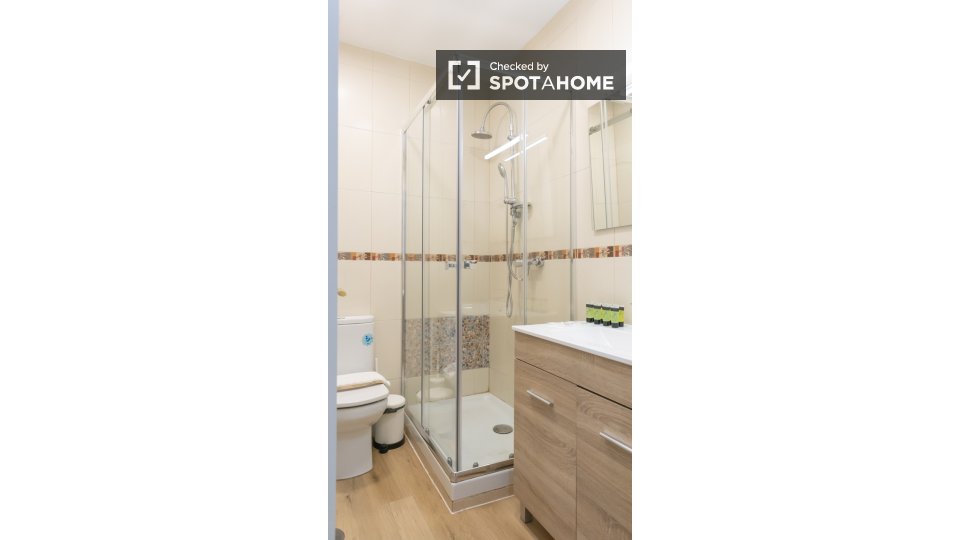 Apartment Madrid, 1 bed — photo 8