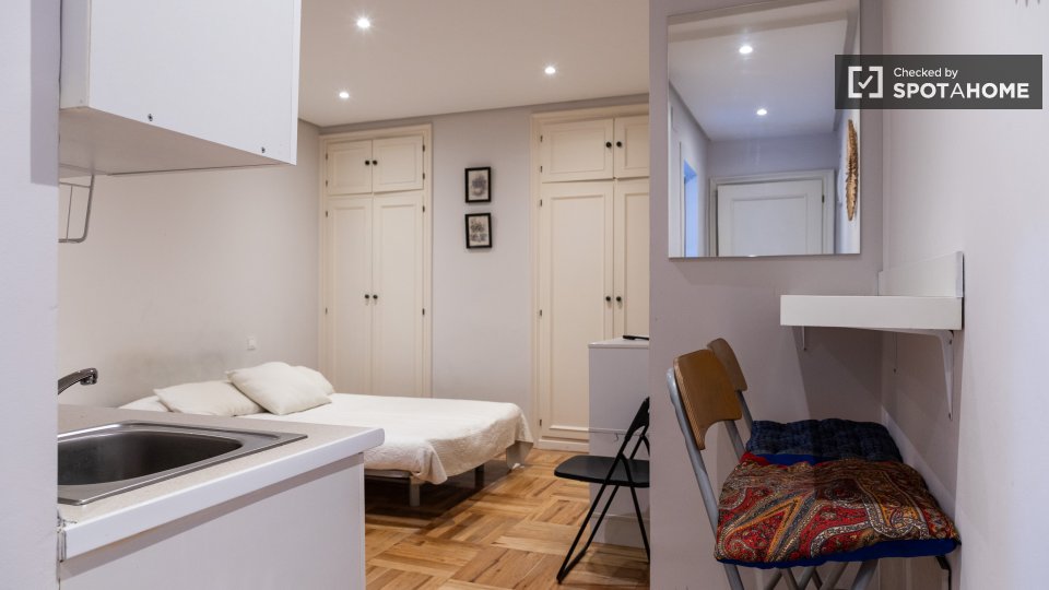 Apartment mono Madrid — photo 47