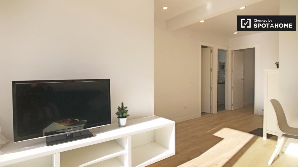 Double room Madrid, 2 beds, 60m² — photo 4