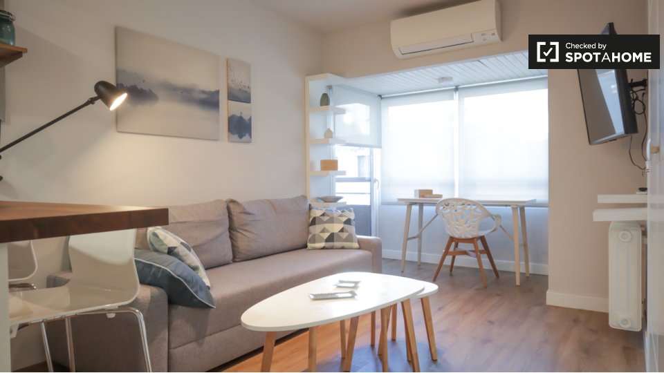 Apartment Madrid, 1 bed — photo 14