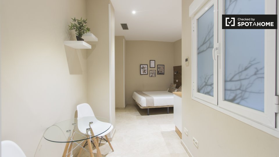 Apartment mono Madrid, 22m² — photo 3