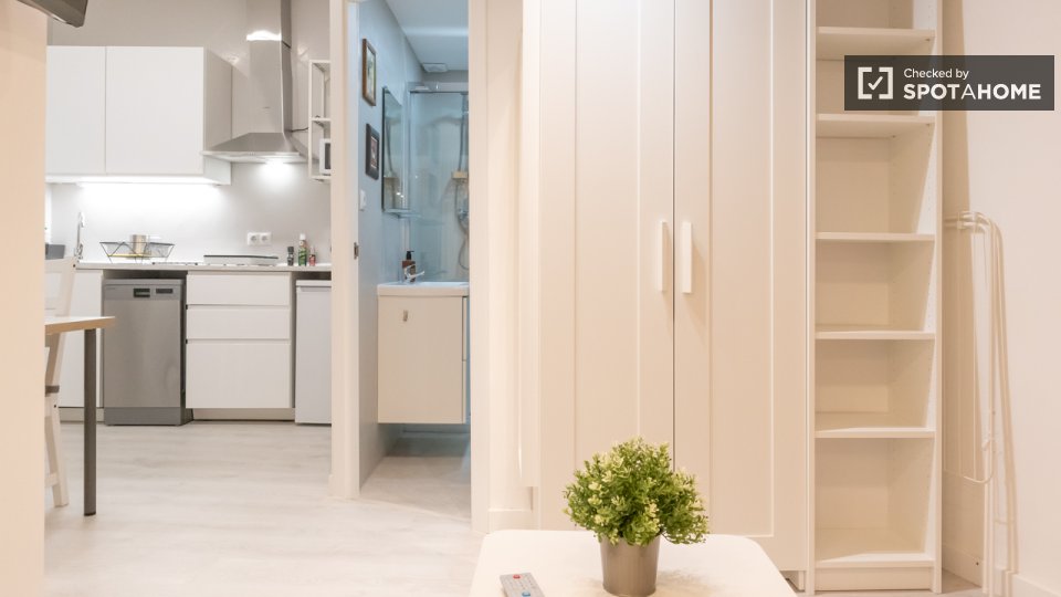Apartment mono Madrid, 30m² — photo 2