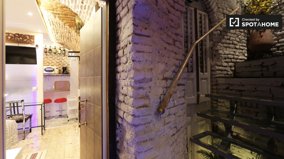 Apartment mono Madrid, 22m² — photo 18