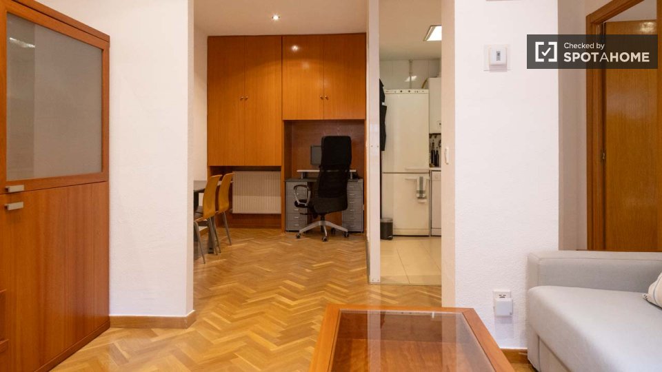 Apartment Madrid, 1 bed — photo 13