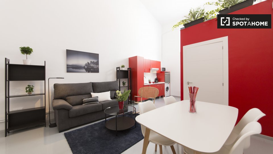 Apartment mono Madrid — photo 1