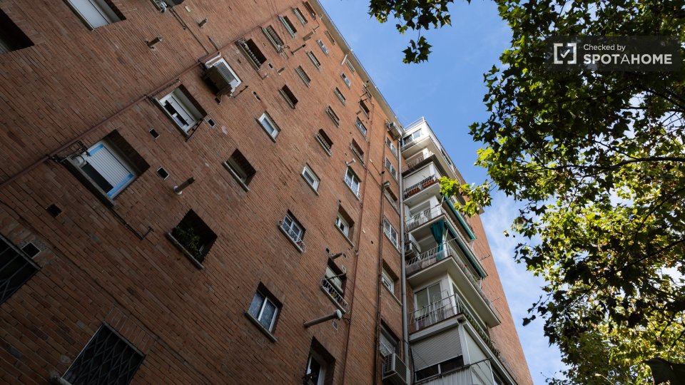 Double room Madrid, 4 beds — photo 9