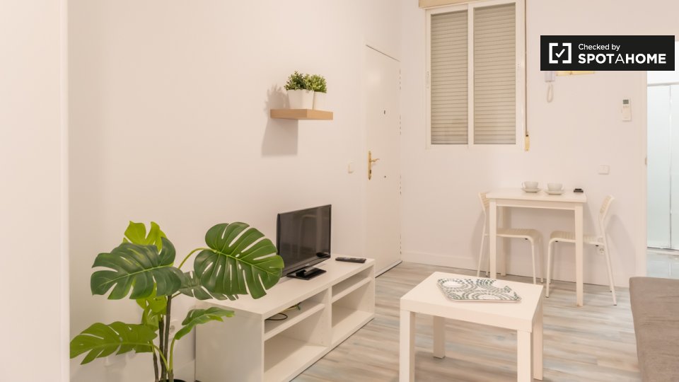 Apartment Madrid, 1 bed, 38m² — photo 5