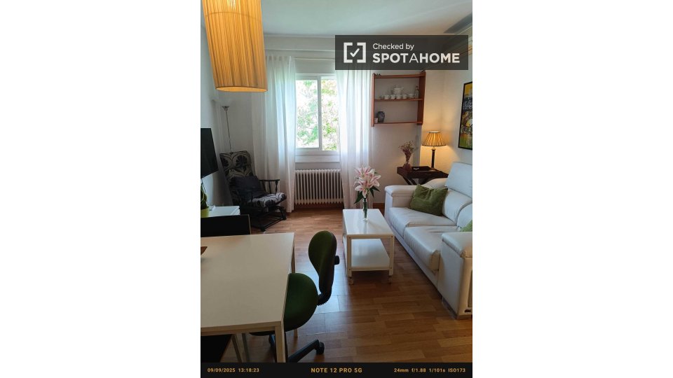 Apartment Madrid, 1 bed — photo 5
