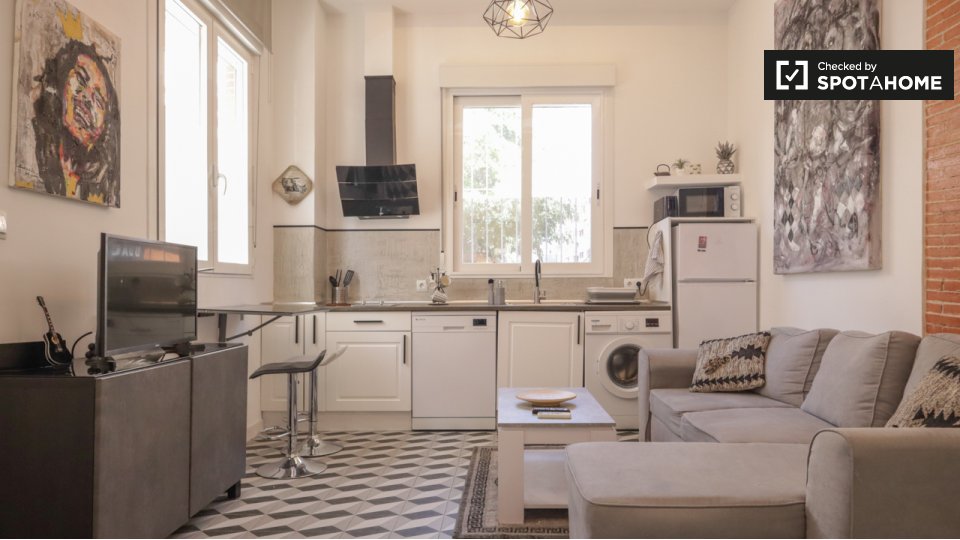 Apartment Madrid, 1 bed — photo 15